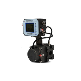 FLR Series Gas Roots Flowmeter